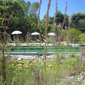 La Les Hespérides Grimaud