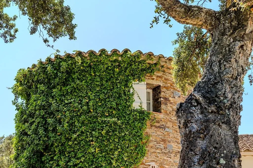 Villa Serenite Grimaud